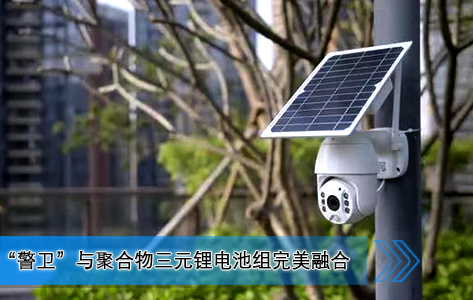 野外摄像头“警卫”与聚合物米兰足球直播免费观看组完美融合 野外摄像头“警卫”与聚合物米兰足球直播免费观看组完美融合